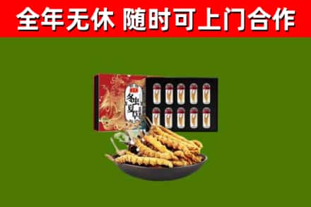浔阳回收冬虫夏草价格