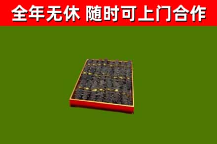 浔阳回收海参